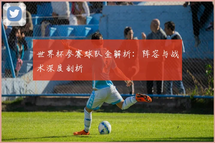 世界杯参赛球队全解析:阵容与战术深度剖析