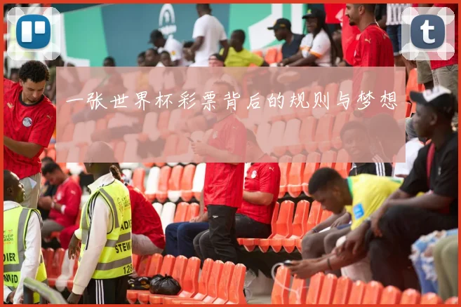 一张世界杯彩票背后的规则与梦想