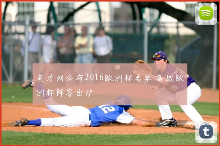 匈牙利公布2016欧洲杯名单 备战欧洲杯阵容出炉