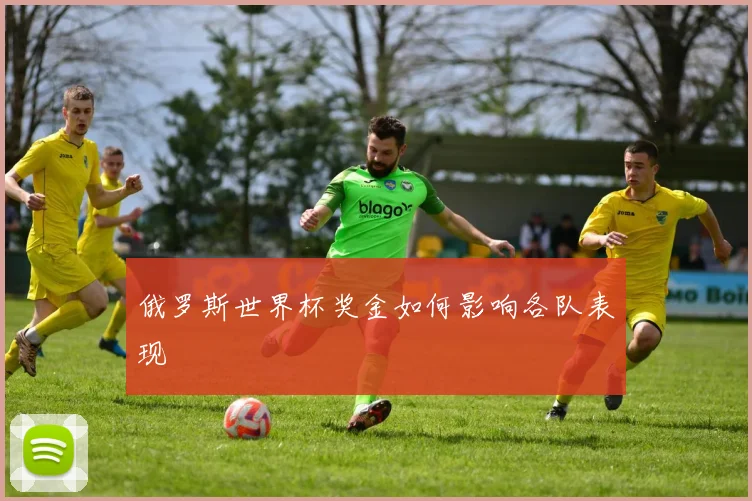 俄罗斯世界杯奖金如何影响各队表现
