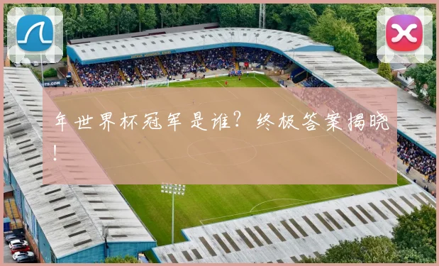 年世界杯冠军是谁？终极答案揭晓！