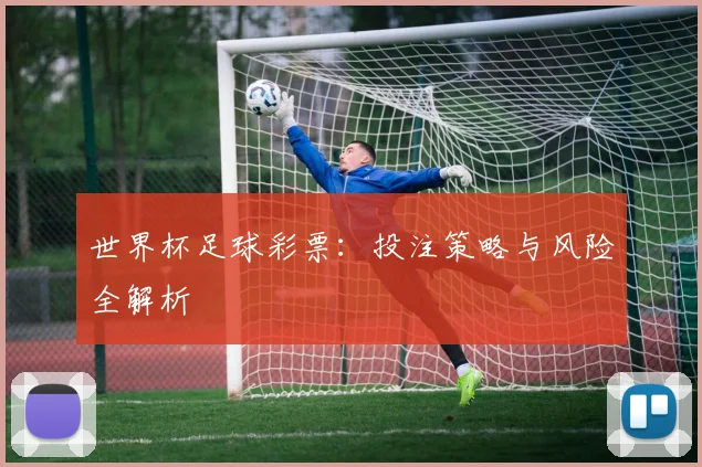 世界杯足球彩票：投注策略与风险全解析
