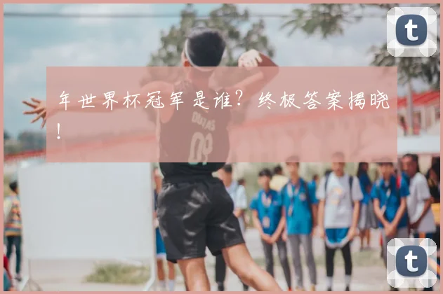 年世界杯冠军是谁？终极答案揭晓！