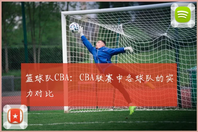 篮球队CBA:CBA联赛中各球队的实力对比
