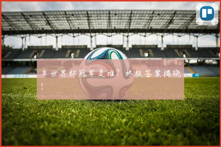 年世界杯冠军是谁?终极答案揭晓!