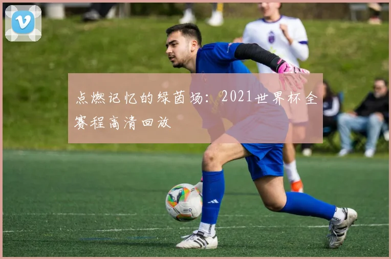 点燃记忆的绿茵场：2021世界杯全赛程高清回放