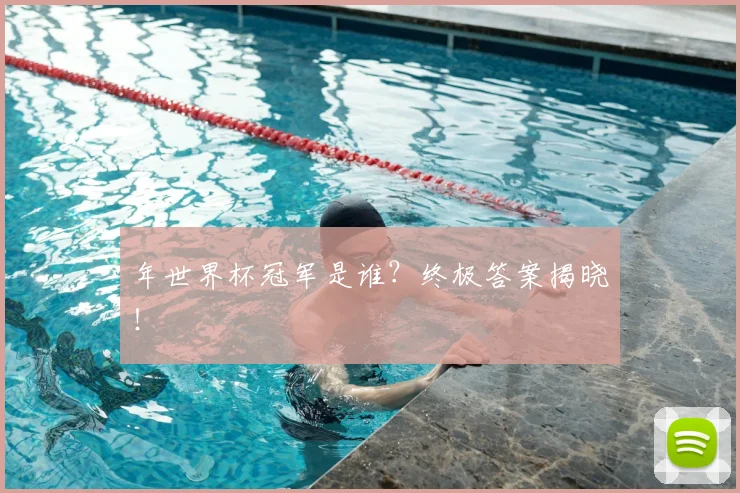 年世界杯冠军是谁？终极答案揭晓！