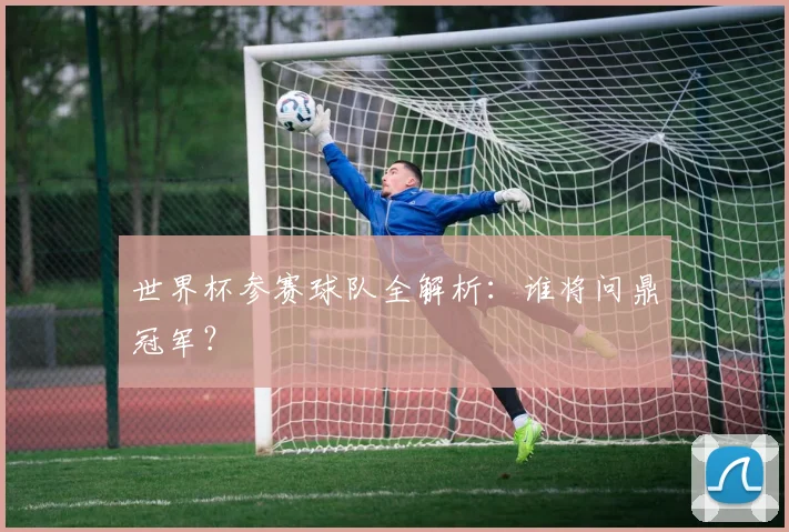 世界杯参赛球队全解析：谁将问鼎冠军？