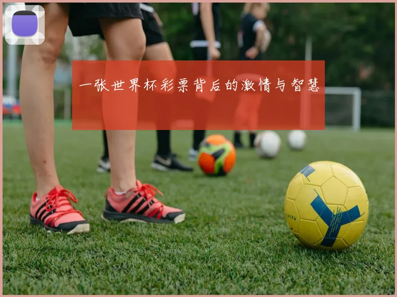 一张世界杯彩票背后的激情与智慧