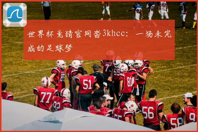 世界杯竞猜官网沓3khcc：一场未完成的足球梦