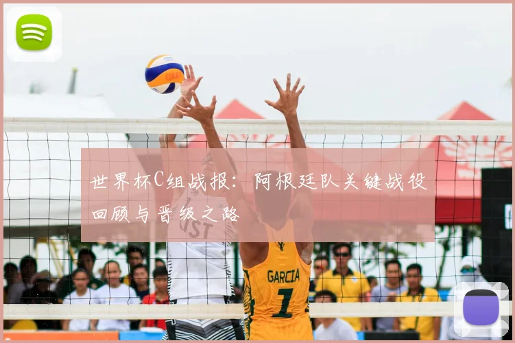 世界杯C组战报：阿根廷队关键战役回顾与晋级之路