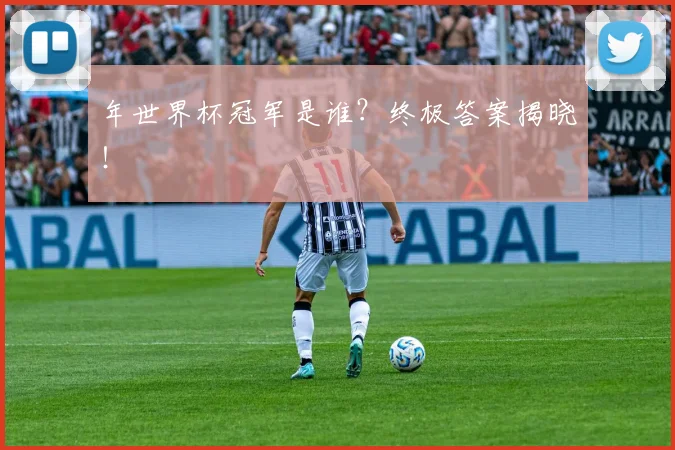 年世界杯冠军是谁?终极答案揭晓!