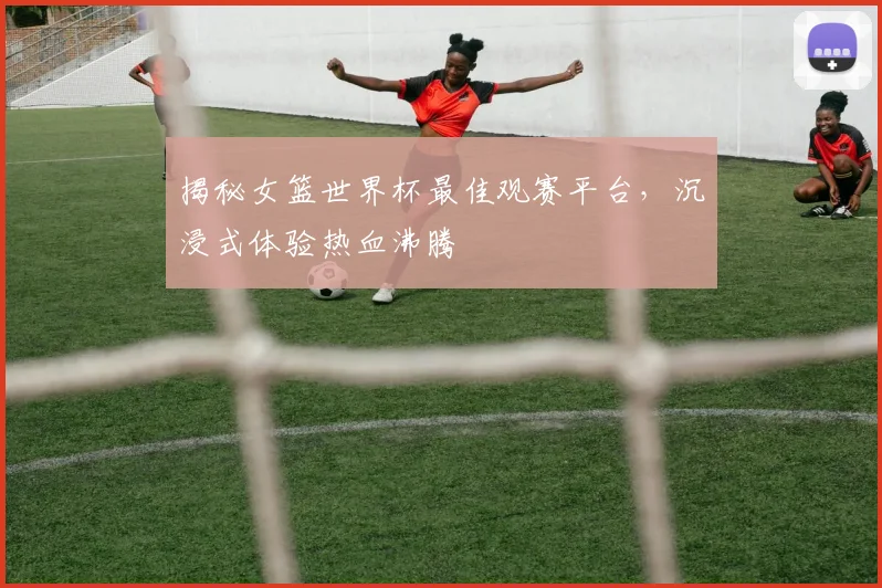 揭秘女篮世界杯最佳观赛平台,沉浸式体验热血沸腾