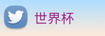 世界杯 logo